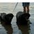 Sandy Wilson's profile image