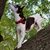Cindi Campbell-Bostick's profile image