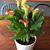 Ellen Hekman Anderson's profile image
