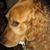 Kasha Legeza's profile image