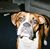 Jo Hendrickson Rice's profile image