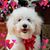 Beth Lu-diaz's profile image