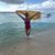 Ana Posadas's profile image
