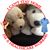 Lianna L Tobar's profile image