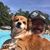 Jo Manley's profile image