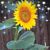 Doreen Olson-Perez's profile image