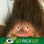Aaron Gesch's profile image