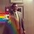 David Edmondson's profile image