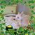 Lynda Heminger's profile image
