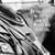 Henry Calzada's profile image