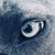 Robyn Brooks's profile image