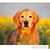 Allyssa Mader's profile image