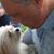 David Rogoff's profile image