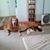 Tracy B. Kardell's profile image