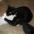 Laura Jean Heredia Britto's profile image