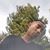 Thatgreatguy Hai's profile image