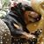 Treasure Dillard's profile image