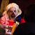 Candy Ann Marie Keaton's profile image