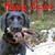 Nathan Funnell's profile image