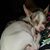 Rebecca Ervin's profile image