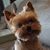 Jonathan C. Ho's profile image