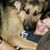 Kim Shank's profile image