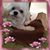 Tammy Froehlich's profile image