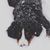 Jessica Lowther's profile image