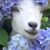 Katina Moutsos's profile image