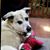 Amy Erickson's profile image