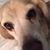 Bernadette Booth's profile image