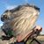 Rob Lamz's profile image