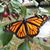Maegan AndDave Lufkin's profile image