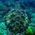 Maria Sines's profile image