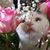 Lorraine Alvarez's profile image