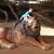 Lissette Gonzalez's profile image