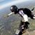 Jose Giacopini's profile image