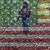 Bryce Shehan's profile image