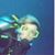 Deb Scholer Shilaos's profile image
