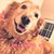Caroline Nicole Staley's profile image