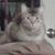 Patricia Camp's profile image