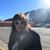 Molly Mulcahy's profile image