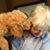 Mary Kay Fleming's profile image