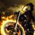 James Igaz's profile image