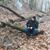Cody Phoenix Satornino's profile image