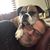 Jeff Krause's profile image