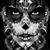 Jackie Todd's profile image