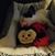 Karie Kiss's profile image