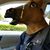 Brian Howington's profile image
