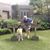 Trevor Majdic's profile image